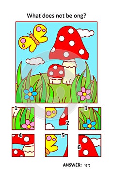 Visual puzzle with picture fragments.Toadstools, butterfly, grass, flowers. What does not belong? photo